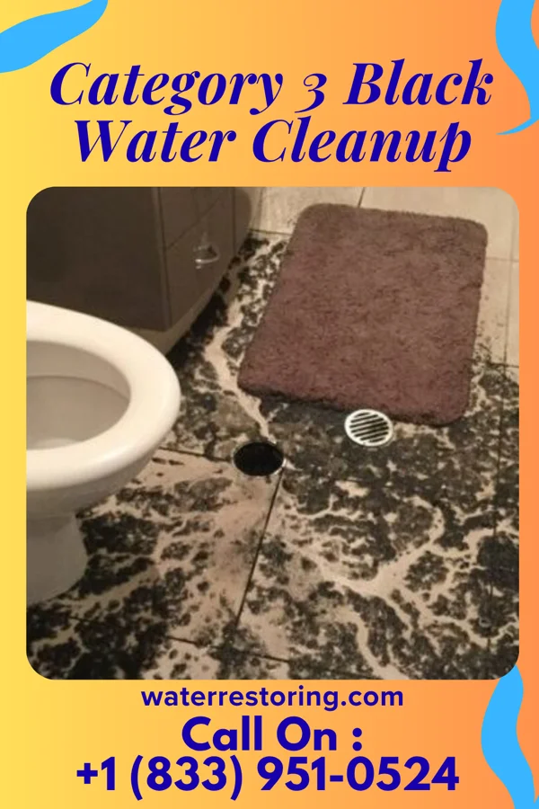 Category 3 Black Water Cleanup in Mount Taylor, NM