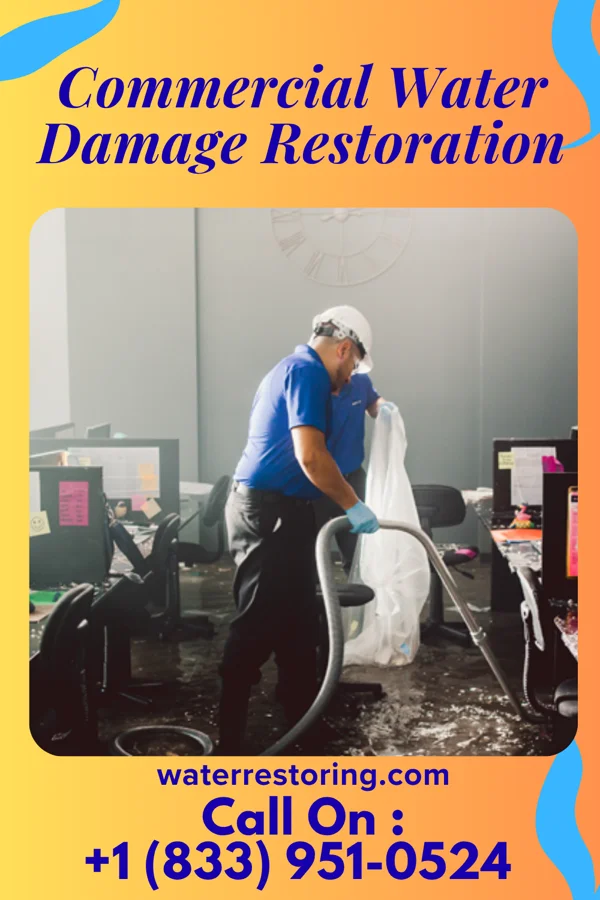 Commercial Water Damage Restoration in Mount Taylor, NM