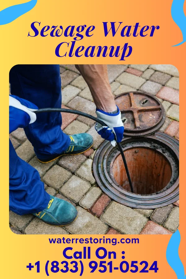 Sewage Water Cleanup in Mount Taylor, NM